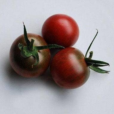 cherry black tomato