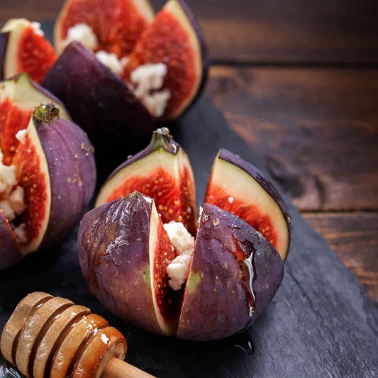 ficus carcia fig seeds