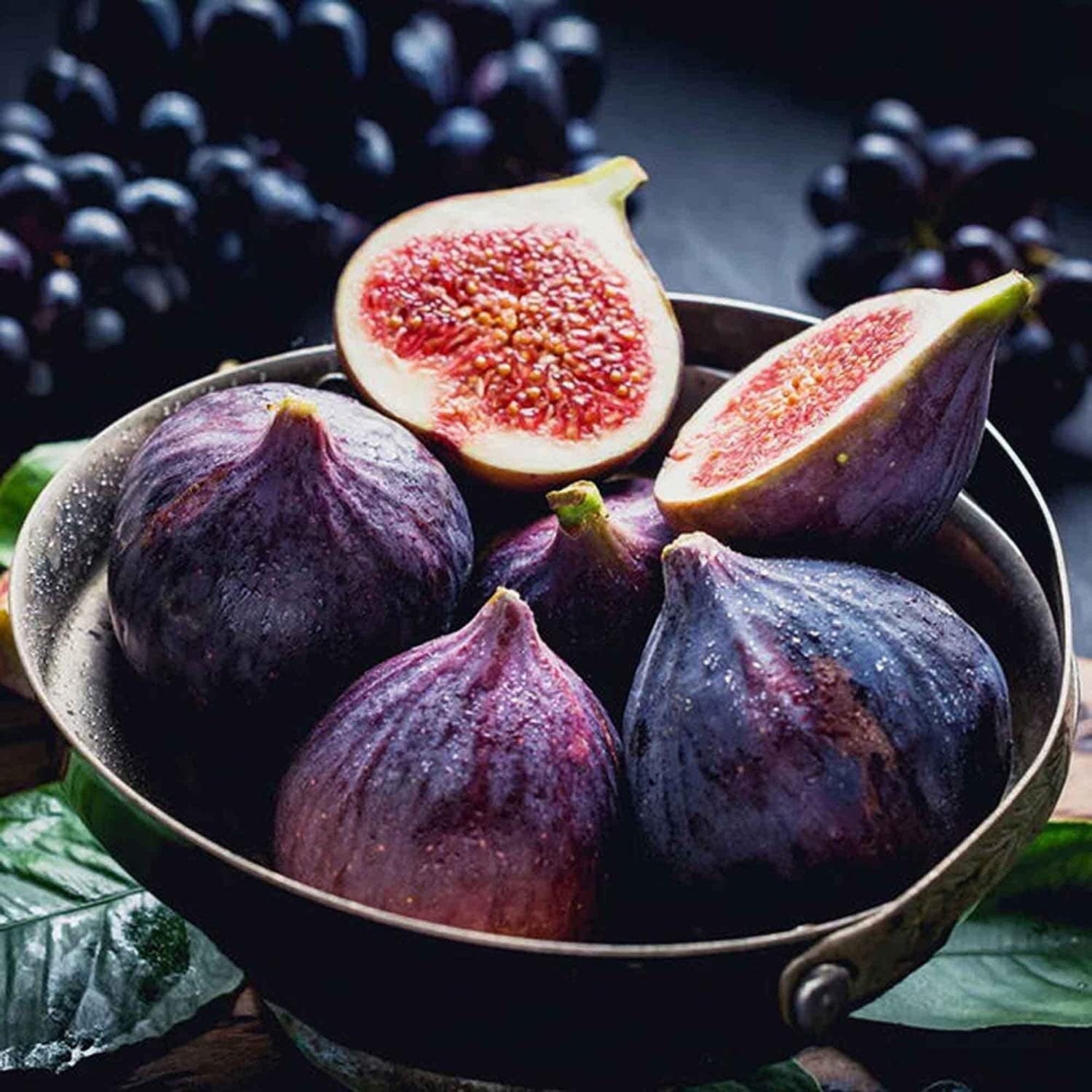 ficus fig seeds