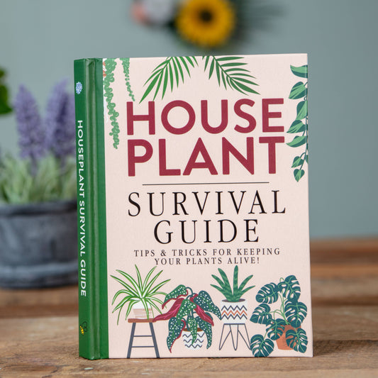 house plant survival guide
