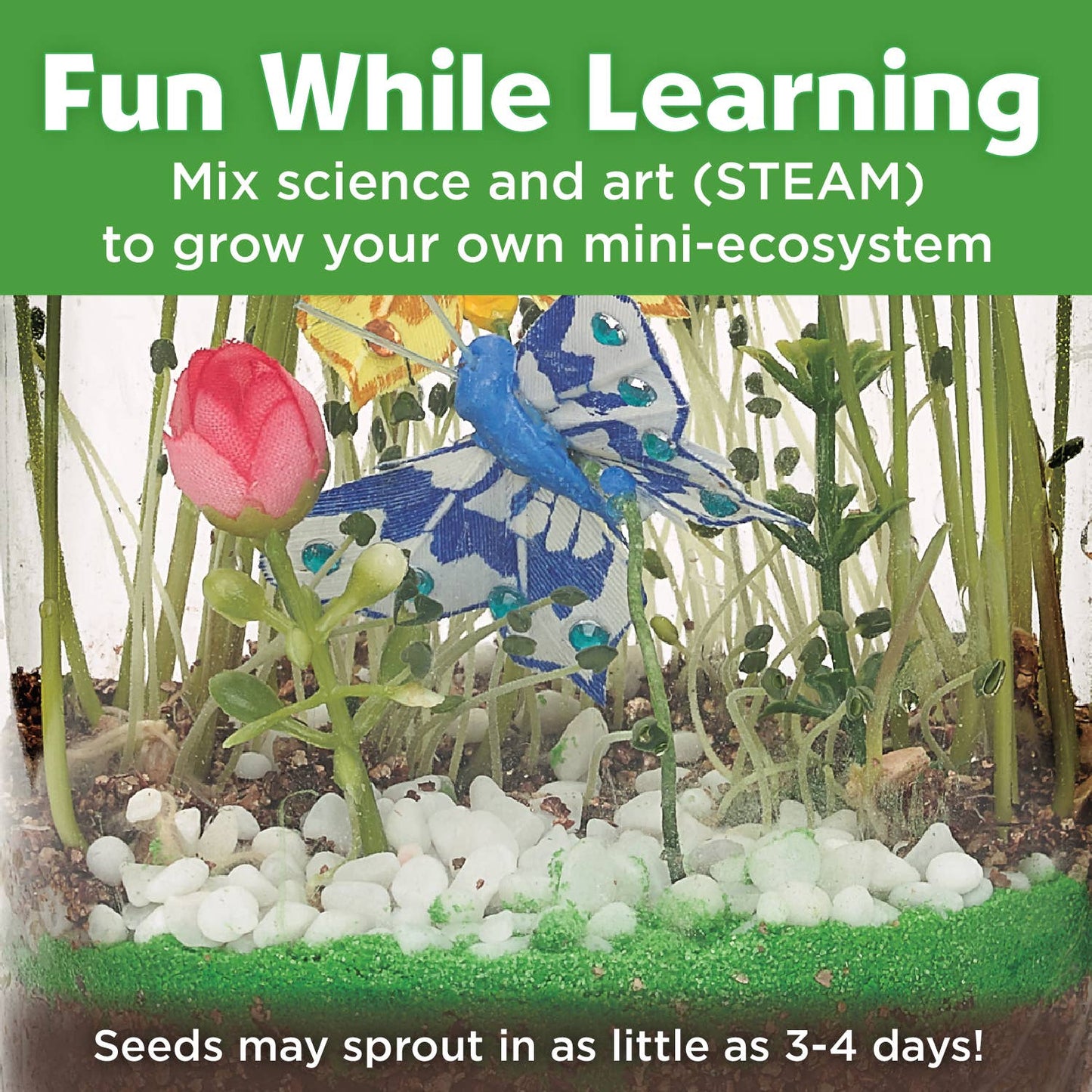 mini-ecosystem kids