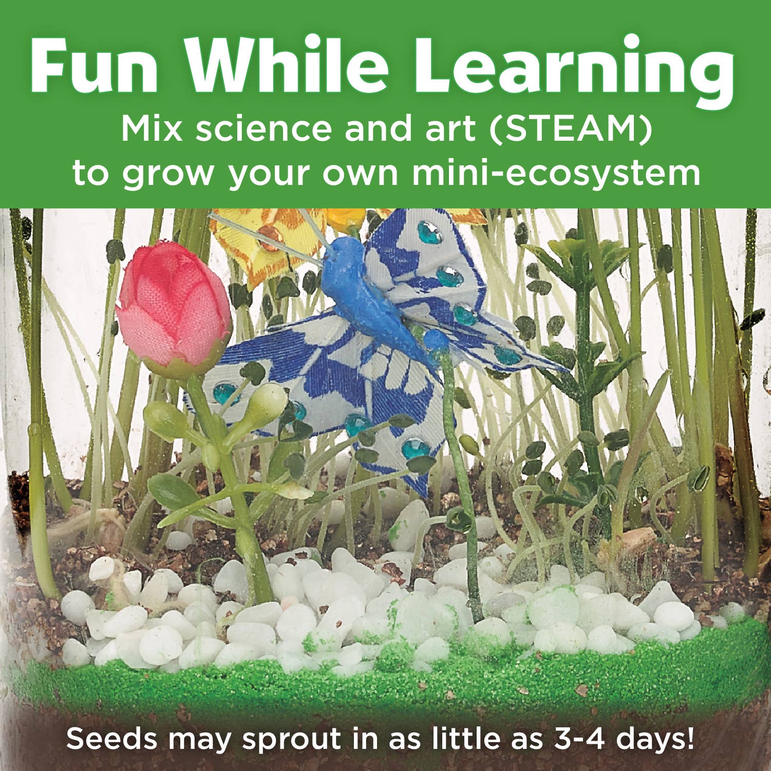 mini-ecosystem kids
