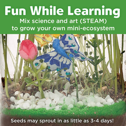mini-ecosystem kids