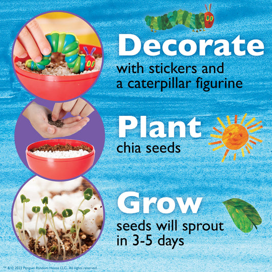 decorate plant and grow