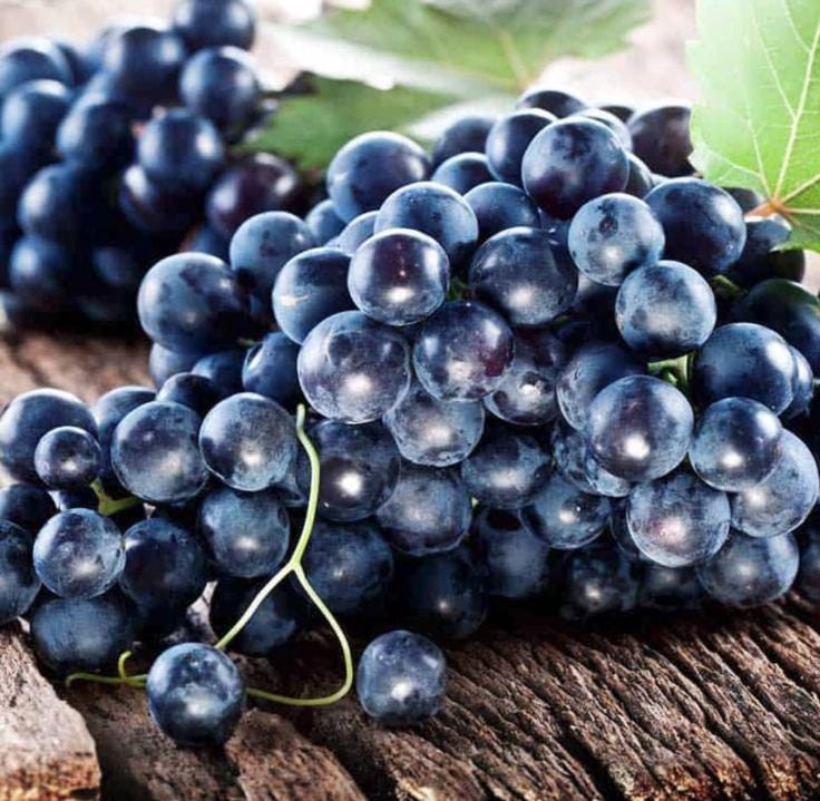 Muscadine Grape Seeds - Non GMO - Vitis Rotundifolia E165