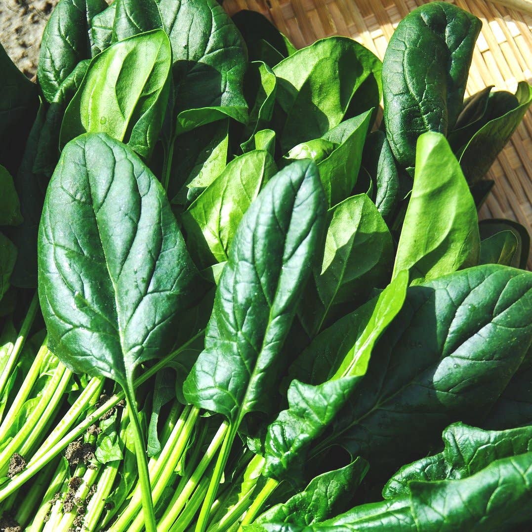 green spinach seeds