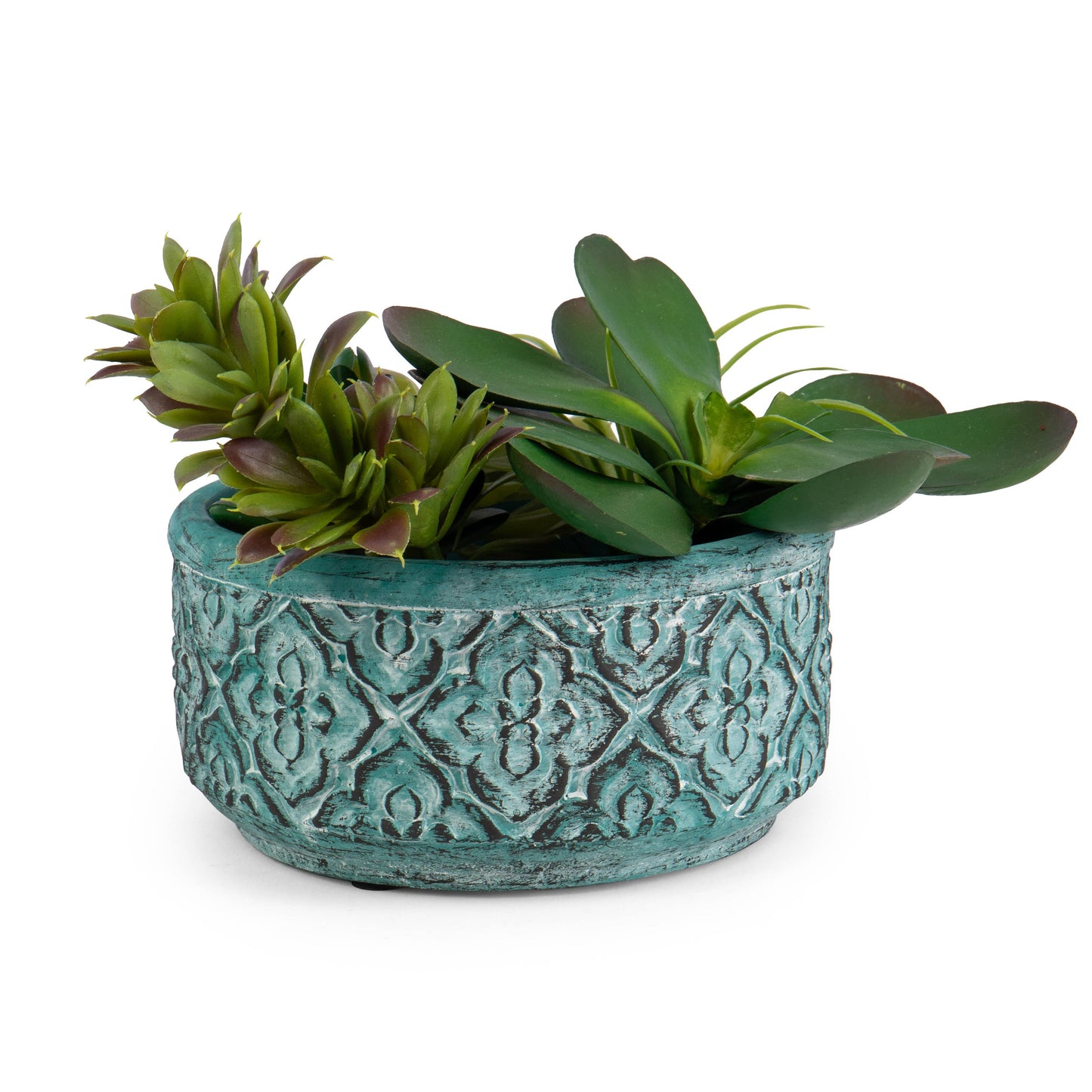 turquoise succulent planter