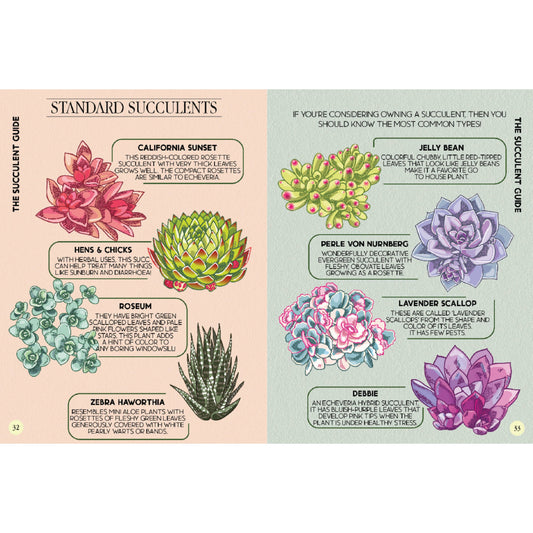 house plant guide succulents