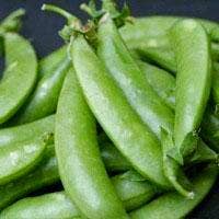 snap pea seeds