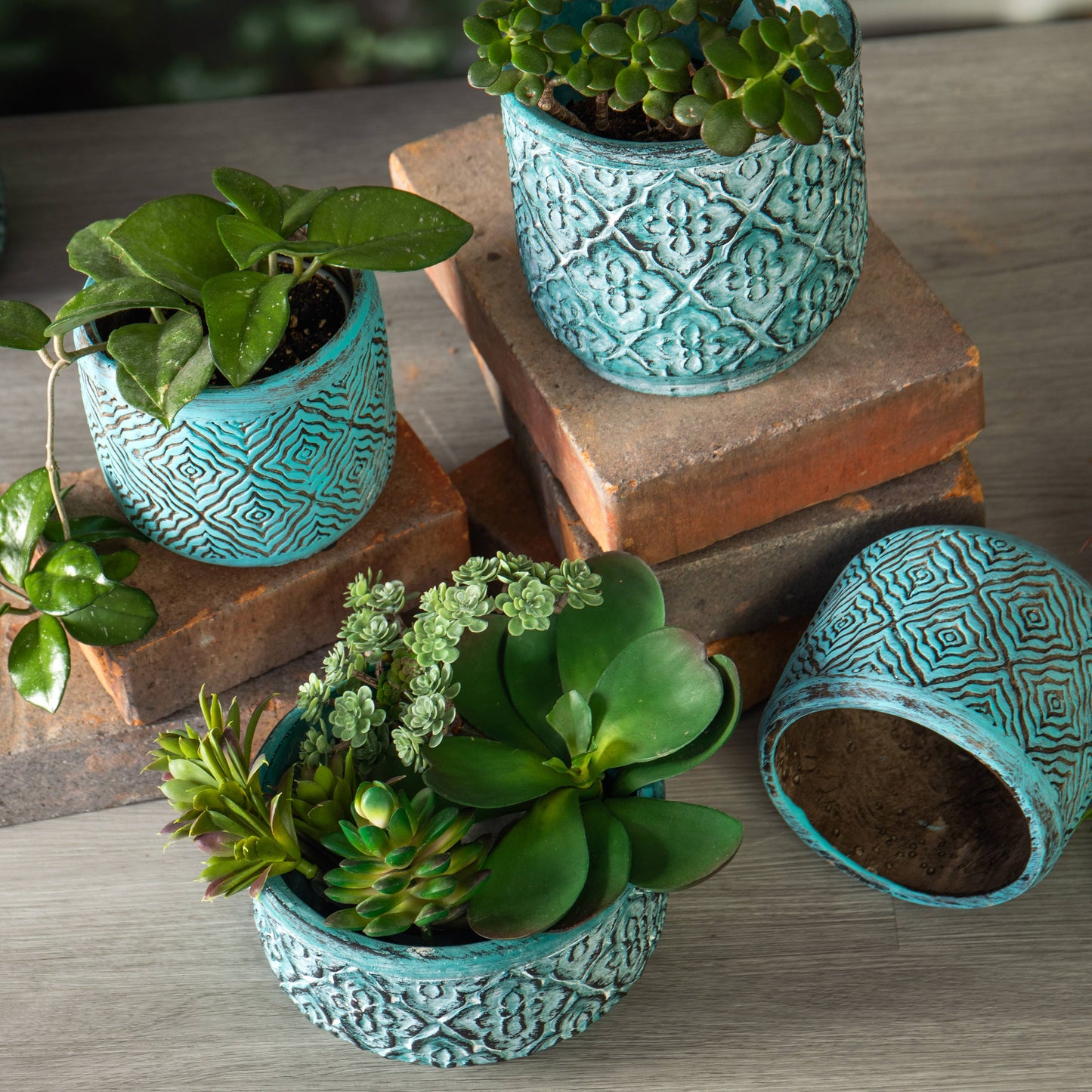 turquoise planters