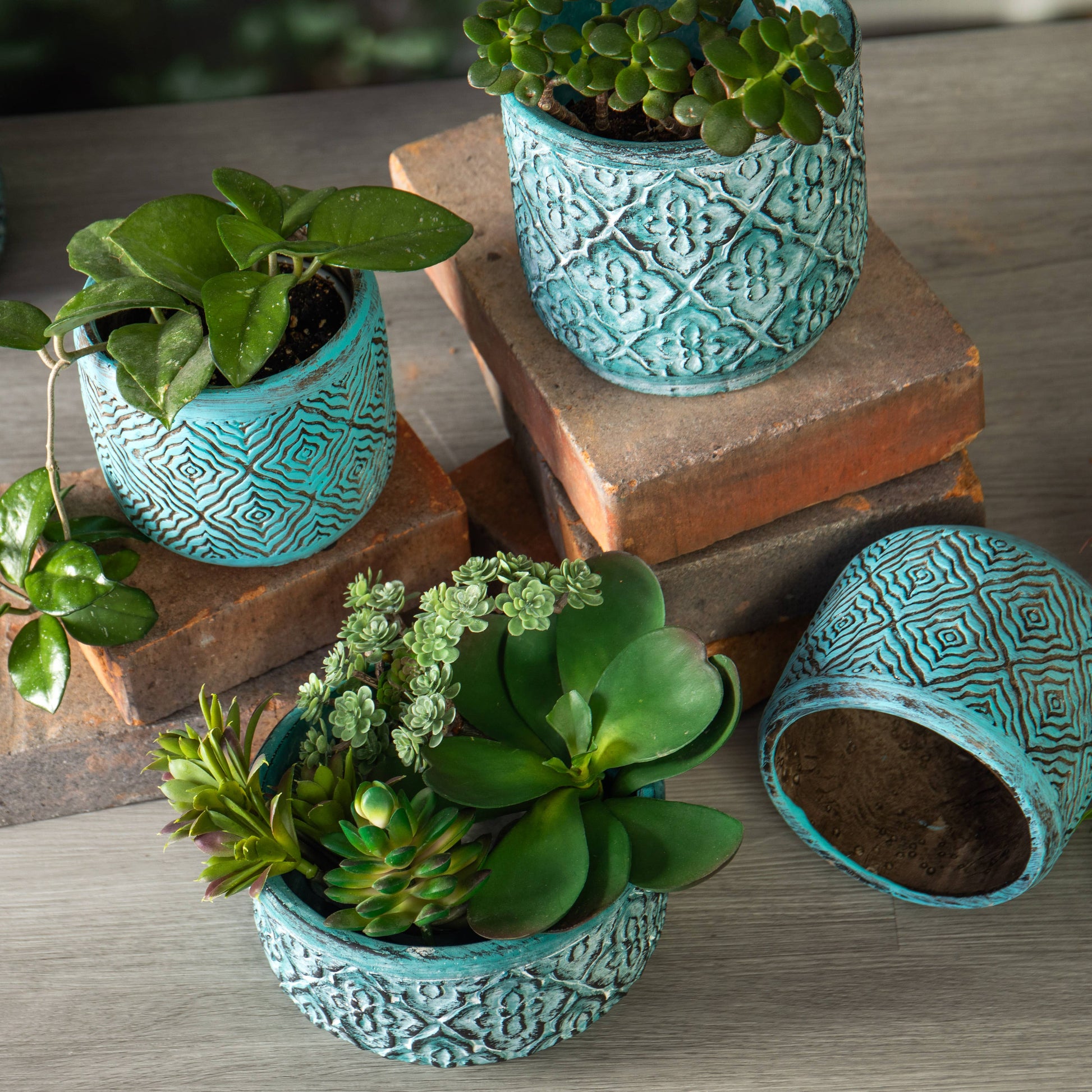 turquoise planters